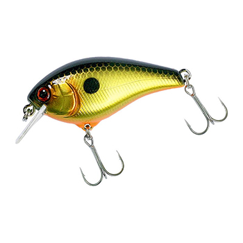 Воблер Aska 50 SR, 5см, 7г, gold & black, плавающий